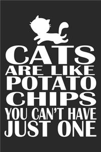 Cats Are Like Potato Chips