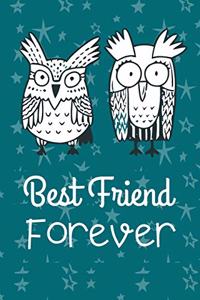 Best Friends Forever! Funny Doodle Owls