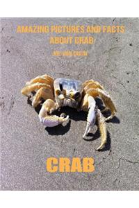 Crab: Amazing Pictures and Facts about Crab
