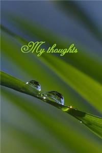 My Thoughts