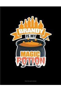 Brandy Is My Magic Potion: Two Column Ledger