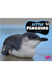 Little Penguins