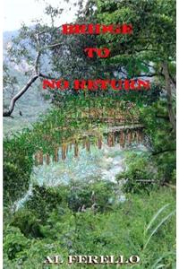 Bridge to No Return