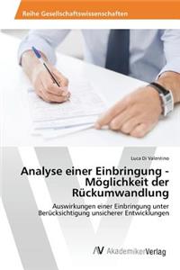 Analyse einer Einbringung - Möglichkeit der Rückumwandlung