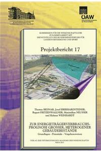 Zur Energietragerverbrauchsprognose Grosser, Heterogener Gebaudebestande