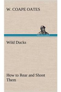 Wild Ducks How to Rear and Shoot Them