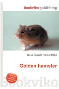 Golden Hamster