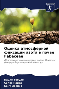 Оценка атмосферной фиксации азота в почве