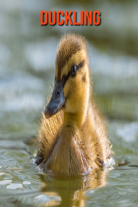 Duckling