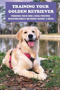 Training Your Golden Retriever