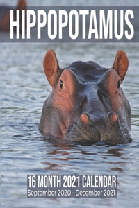Hippopotamus 16 Month 2021 Calendar September 2020-December 2021