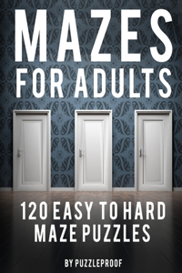 Maze Adult Book