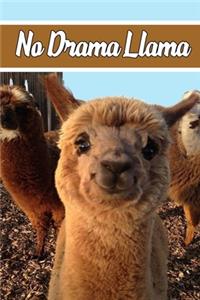 No Drama Llama