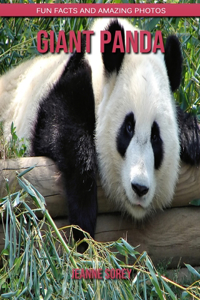 Giant panda: Fun Facts and Amazing Photos