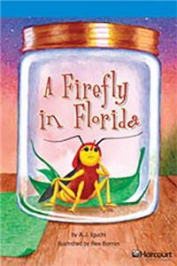 Storytown: On Level Reader Teacher's Guide Grade 4 a Firefly in Florida