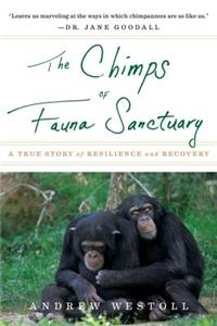 The Chimps of Fauna Sanctuary