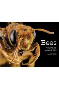 Bees: An Up-Close Look at Pollinators Around the World