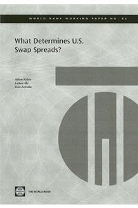 What Determines U.S. Swap Spreads?