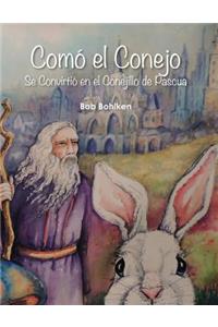 Como El Conejo Se Convirtio En El Conejillo de Pascua