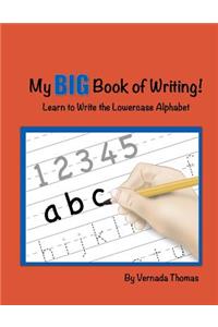 My Big Book of Writing