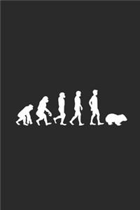 Wombat Evolution