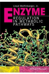 Enzyme Regulation in Metabolic Pathways