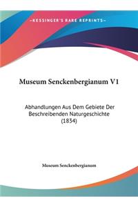 Museum Senckenbergianum V1
