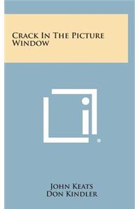 Crack in the Picture Window