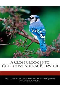 A Closer Look Into Collective Animal Behavior