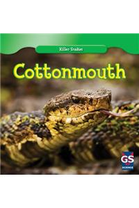 Cottonmouth