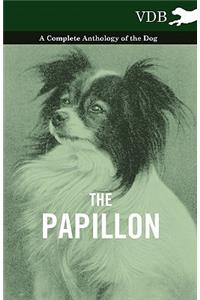 The Papillon - A Complete Anthology of the Dog