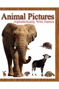 Animal Pictures Alphabetically with Names