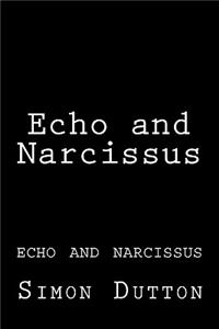 Echo and Narcissus