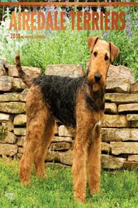 2018 Airedale Terriers Wall Calendar