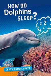 How Do Dolphins Sleep?