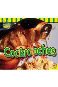 Cockroaches