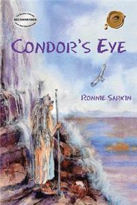 Condor's Eye