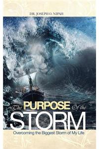 The Purpose of the Storm