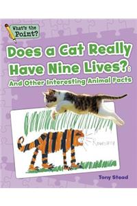 Does a Cat Really Have Nine Lives?
