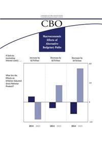 Macroeconomic Effects of Alternative Budgetary Paths