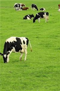 Cows in a Meadow Journal