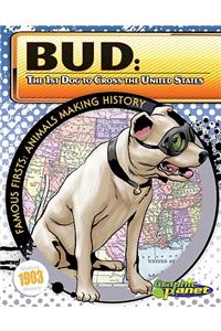 Bud: 1st Dog to Cross the United States