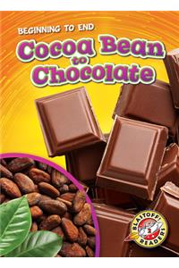 Cocoa Bean to Chocolate
