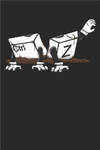 Ctrl Z