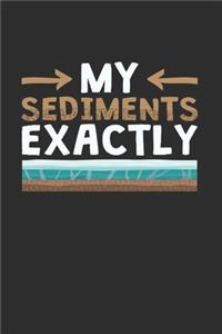 Geology My Sediments Exactly Geologist Notebook, 6x9 Inch, 100 Page, Blank Lined, College Ruled Journal