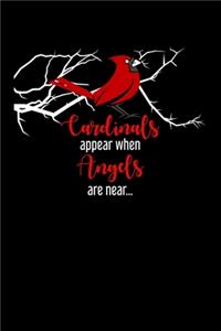 Cardinals Appear When Angels Are Near