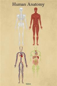Human Anatomy Notebook