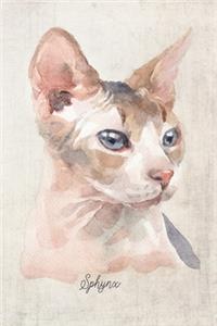 Sphynx Cat Portrait Notebook