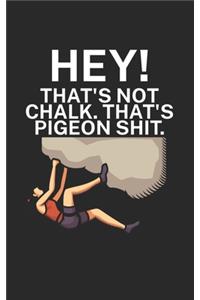 Hey Thats not chalk Thats pigeon shit