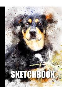 Sketchbook